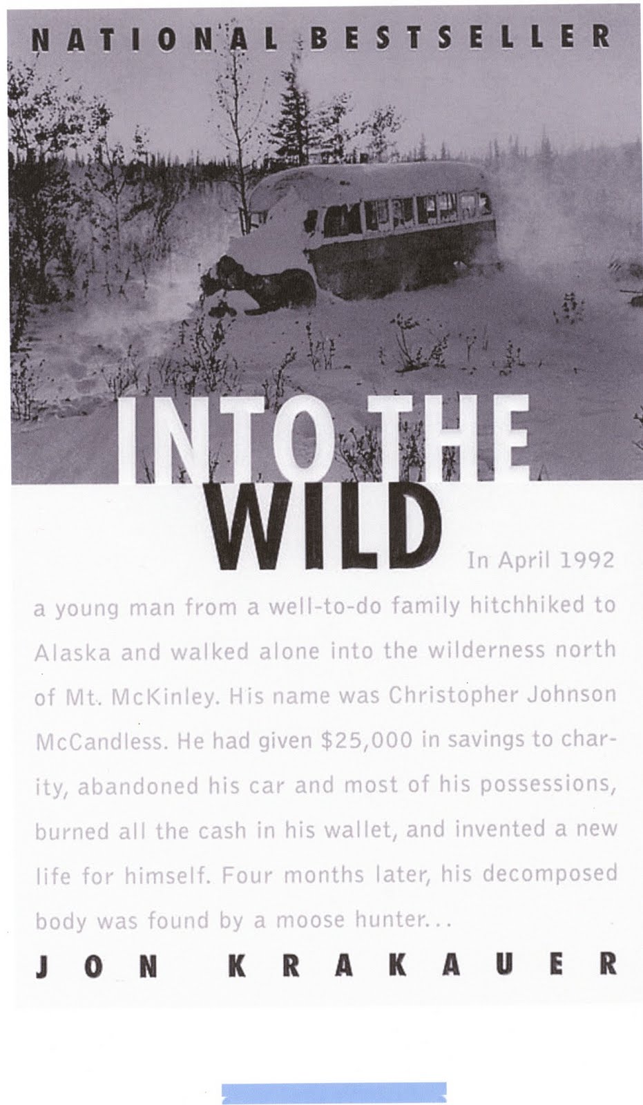 Cover of "Into the Wild"